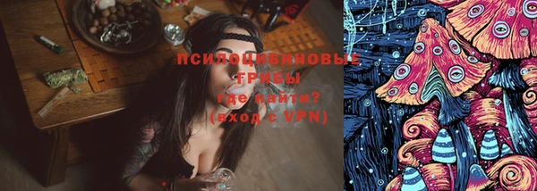 молекула духа Новодвинск