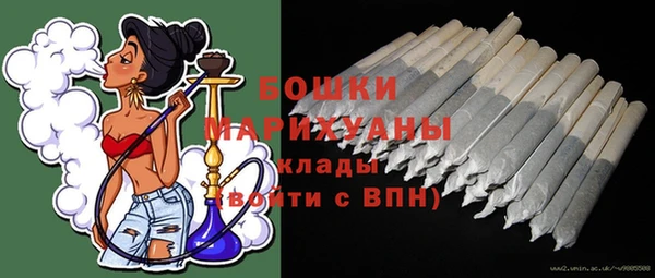 молекула духа Новодвинск
