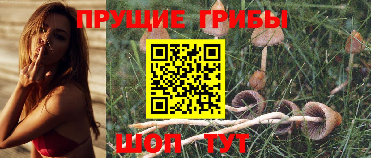 Галлюциногенные грибы MAGIC MUSHROOMS Ахтубинск