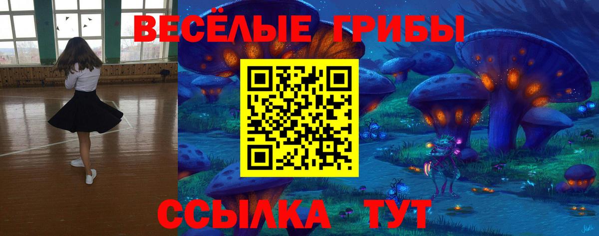 Альфа ПВП Ахтубинск