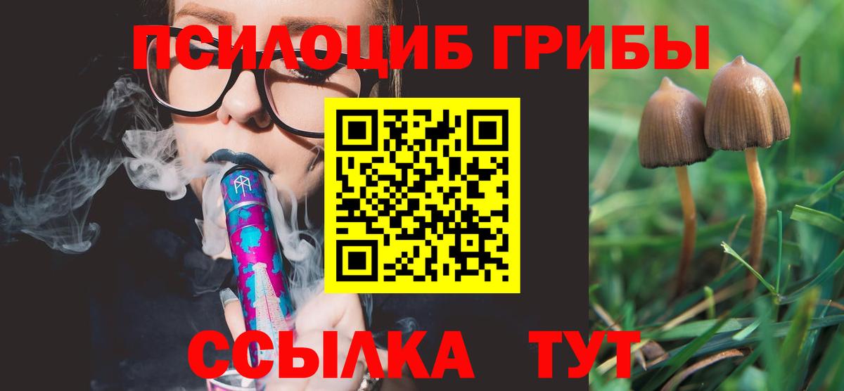 Псилоцибиновые грибы Psilocybine cubensis Ахтубинск