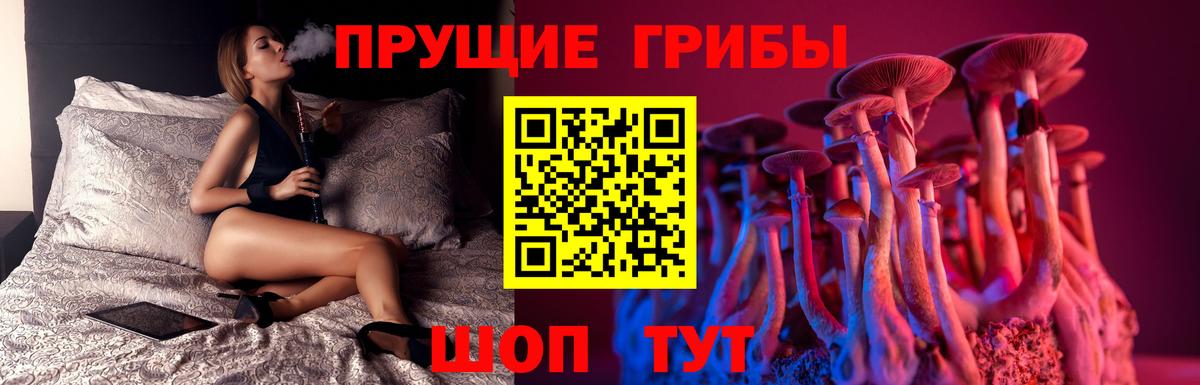Ахтубинск  Галлюциногенные грибы Magic Shrooms  Галлюциногенные грибы мицелий  Вход с VPN 